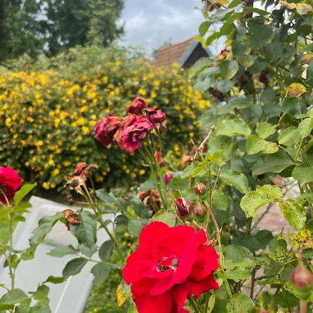 Manoir La Tasserie Homestay *