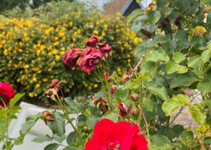 Manoir La Tasserie Ubytování v soukromí *